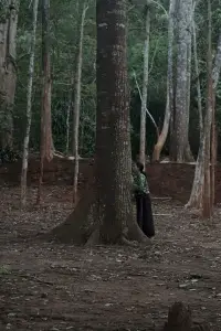 Poster to the movie "Because Watching Pacifies" #1072513