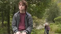 Backdrop to the movie "Harry Potter and the Goblet of Fire" #699510