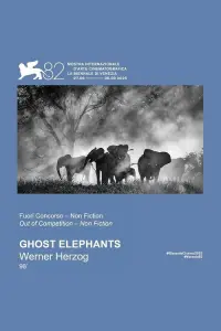 Poster to the movie "Ghost Elephants" #836297