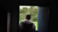 Backdrop to the movie "About Moonlight" #829361