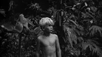 Backdrop to the movie "Lord of the Flies" #841931