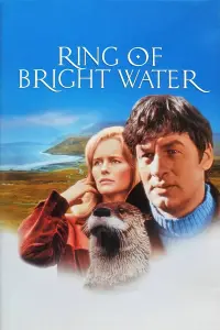 Poster to the movie "Ring of Bright Water" #718361