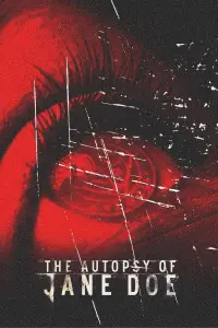 Poster to the movie "The Autopsy of Jane Doe" #938802