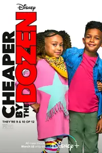 Poster to the movie "Cheaper by the Dozen" #1043861