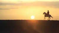 Backdrop to the movie "Death Rides a Horse" #826907