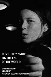 Poster to the movie "Don