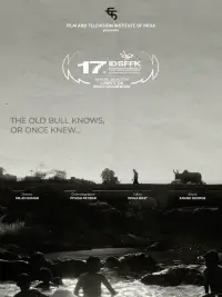 Poster to the movie "The Old Bull knows, or Once Knew" #836895