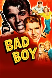 Poster to the movie "Bad Boy" #1179932