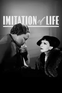 Poster to the movie "Imitation of Life" #1042031