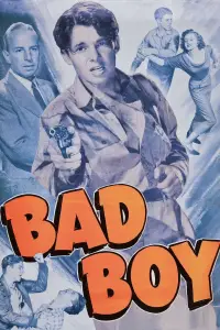 Poster to the movie "Bad Boy" #1179930