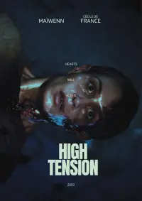 Poster to the movie "High Tension" #674135