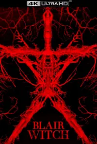 Poster to the movie "Blair Witch" #955071