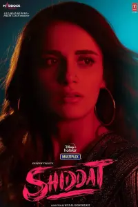 Poster to the movie "Shiddat" #782025