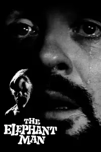 Poster to the movie "The Elephant Man" #939886