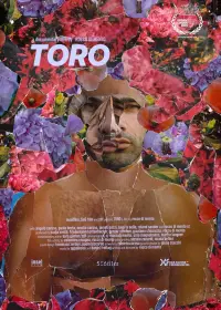 Poster to the movie "Toro" #792818