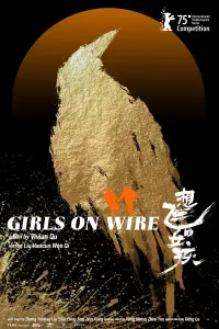 Poster to the movie "Girls on Wire" #970978