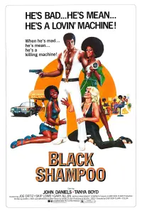 Poster to the movie "Black Shampoo" #1167644