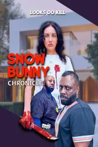 Poster to the movie "Snow Bunny Chronicle: Looks Do Kill" #942389
