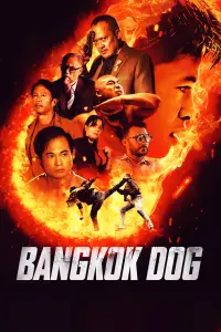 Poster to the movie "Bangkok Dog" #1075927