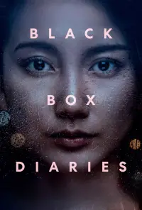 Poster to the movie "Black Box Diaries" #981418