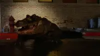 Backdrop to the movie "Alligator" #1143499