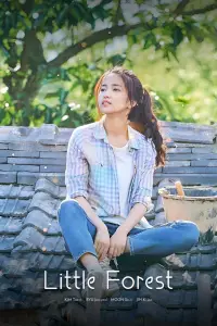 Poster to the movie "Little Forest" #1034549