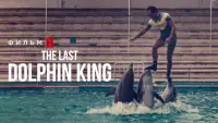 Backdrop to the movie "The Last Dolphin King" #786984