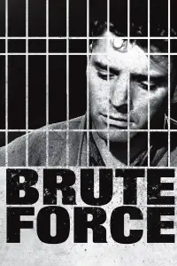 Poster to the movie "Brute Force" #999995