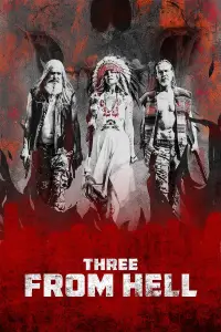 Poster to the movie "3 from Hell" #1029798