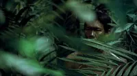 Backdrop to the movie "Tropical Malady" #783778