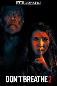 Poster to the movie "Don