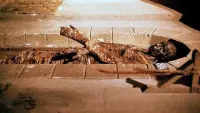 Backdrop to the movie "Dawn of the Mummy" #743671