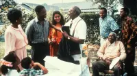 Backdrop to the movie "Mississippi Masala" #800008