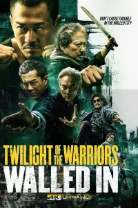 Poster to the movie "Twilight of the Warriors: Walled In" #948803