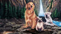 Backdrop to the movie "Homeward Bound: The Incredible Journey" #692533