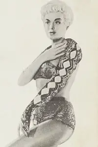 Poster to the movie "Josette of New Orleans" #1201809