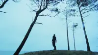 Backdrop to the movie "On the Silver Globe" #828466