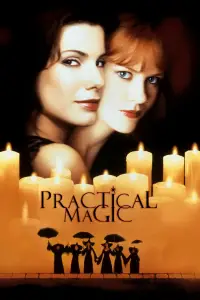 Poster to the movie "Practical Magic" #938484