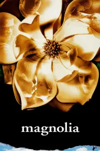 Poster to the movie "Magnolia" #949871