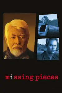 Poster to the movie "Missing Pieces" #1152177