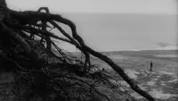 Backdrop to the movie "To Kill a Child" #788168