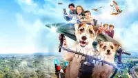 Backdrop to the movie "A Doggone Adventure" #730749