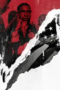 Poster to the movie "Malcolm X" #793147