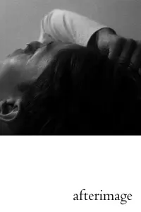 Poster to the movie "Afterimage" #786345