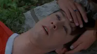 Backdrop to the movie "Ferris Bueller
