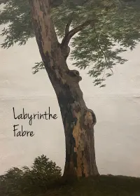 Poster to the movie "Labyrinthe Fabre" #769247