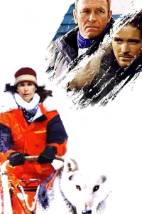 Poster to the movie "The Cold Heart of a Killer" #1046167