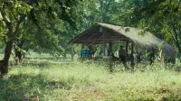 Backdrop to the movie "Uncle Boonmee Who Can Recall His Past Lives" #779338