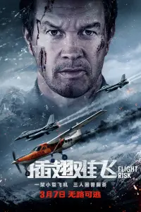 Poster to the movie "Flight Risk" #763538