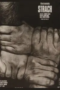 Poster to the movie "Strach" #645621